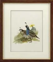 Jo Polseno, California Quail, Wonderful watercolor/gouache wildlife scene of a male & female quail standing next to a cactus with yellow bloom