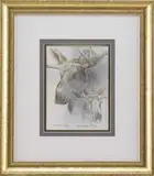 Robert Bateman, Bull Moose Studies
