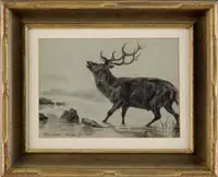 Edwin Henry Landseer, Study of a Deer, Graphite drawing of a bleating stag standing in shallow water. Title and signed lower left