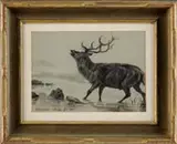 Edwin Henry Landseer, Study of a Deer, Graphite drawing of a bleating stag standing in shallow water. Title and signed lower left