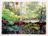 S.D. Lloyds, Springtime, Watercolor Florida scene shows a swampy area with tropical vegetation in spring colors