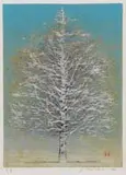 Joichi Hoshi, Spring