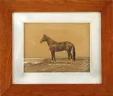 Francis George Schreiber, Portrait of a Thoroughbred, Watercolor enhanced photograph of a majestic race horse standing on a field with remnants of white snow