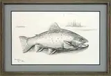 David A. Footer, Labrador Brook Trout, Pencil sketch of a large brook trout within an oval with water having islands & Osprey behind