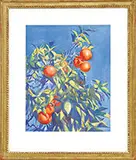 Aiden Lassell Ripley, Orange Tree