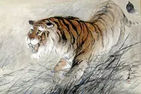 Jiang Mingxian Modern Painting, Untitled, Ink and color on paper, vividly depicting a tiger