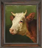 Rosa Marie Bonheur, Portrait of a Steer Head, Oil on canvas