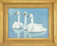 Roy Thompsen, Four Bird Studies, Acrylic, Mixed media & Watercolors; Two Swans, Seagull & Chickadee