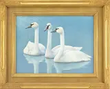 Roy Thompsen, Four Bird Studies, Acrylic, Mixed media & Watercolors; Two Swans, Seagull & Chickadee