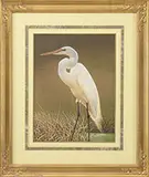 Roy Thompsen, Three Works, Blue Heron, Egret & Egret on a Sandy Beach Acrylic