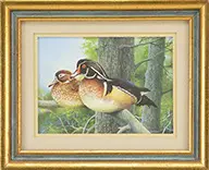 Roy Thompsen, Four Works of Ducks, Two oils & two acrylics