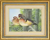Roy Thompsen, Four Works of Ducks, Two oils & two acrylics