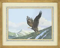Roy Thompsen, Bald Eagle in Flight, Acrylic