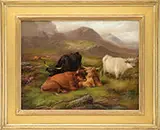 John Morris, Highland Cattle