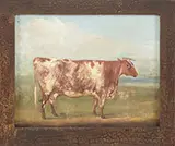 Unsigned, Portrait of a Cow, Oil on canvas