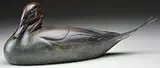 Geoffrey Dashwood, Pintail Duck