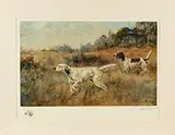 Percival L Rosseau, Two Works: “Setters on Hilltop Ned & Bob” & “Pointers Jimmie De K & Peters Carrot on Quail, Chromolithographs