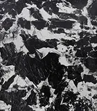 Brett Weston, Untitled