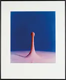 Harold Eugene Edgerton, Bullet Through Banana, 1964” and “Cranberry Juice Into Milk, 1960