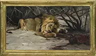 Wilhelm Kuhnert, Der Menschen Frosser (The Man Eater), Oil on canvas