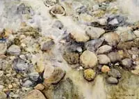 Joyce Williams, Incoming Tide, Fine watercolor scene shows beach rocks in a tidal pool