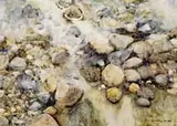 Joyce Williams, Incoming Tide, Fine watercolor scene shows beach rocks in a tidal pool