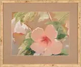 Jane Peterson, Pink Flowers