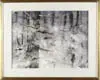 William Thon, February Snow 1977