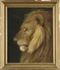 Alexander Pope, Portrait of a Lion, Oil on canvas scene shows a head portrait of a lion against a dark background. Fine detail