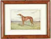 Dog Portrait “Duncan Grey by Arthur Fitzwilliam Tait, Watercolor portrait of brown Greyhounds type dog in a grass covered hilly landscape. Name is at center left, sold Aug 2003
