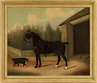 Clifton Tomson, Carriage Horse in Full Harness, Oil on canvas