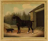 Clifton Tomson, Carriage Horse in Full Harness, Oil on canvas