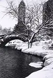 Alfred Eisenstaedt, Central Park After a Snowstorm, New York, 1959
