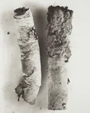 Irving Penn, Cigarette No. 17, New York, 1972, Platinum print