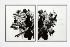 Nobuyoshi Araki, From Close to Range, 1991, Gelatin silver print diptych, printed 2008