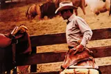 Richard Prince, Untitled (Cowboy) from Cowboys and Girlfriends