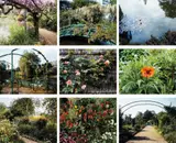 Stephen Shore, The Giverny Portfolio