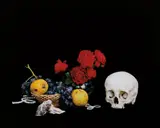 [Stilleben-14-2007] by Shirana Shahbazi, 2007, Chromogenic print, sold Apr 2014