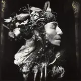 Harvest, Philadelphia by Joel-Peter Witkin, 1984, Gelatin silver print, offered Apr 2014