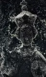 Andres Serrano, Black Baby Jesus