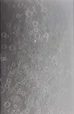 Adam Fuss, Untitled, 2007, Gelatin silver print photogram, flush-mounted