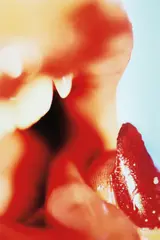 Vamp by Marilyn Minter, 2011, Chromogenic print, sold Apr 2014