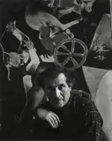 Arnold Newman, Marc Chagall