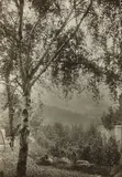 Gertrude Käsebier, Rodin's Garden