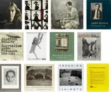 Complete Exhibition Publications by The Art Institute of Chicago, 1976-2014, Forty-two printed books, sold Oct 2014