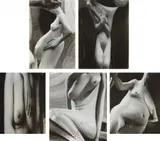 André Kertész, Selected Distortions, 1933, Five gelatin silver prints
