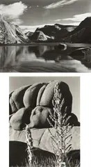Selected Images by Edward Weston, 1937-1939, Five gelatin silver prints from The Photographs of Edward Weston , printed circa 1953 by Brett Weston, sold Oct 2014