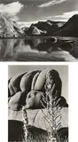 Selected Images by Edward Weston, 1937-1939, Five gelatin silver prints from The Photographs of Edward Weston , printed circa 1953 by Brett Weston, sold Oct 2014