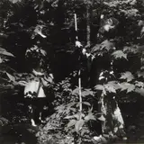 Ralph Eugene Meatyard, Untitled, circa 1970, Gelatin silver print