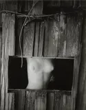 Wynn Bullock, Torso in Window